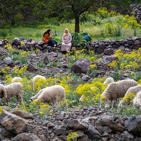 Toubkal Ecolodge امليل المظهر الخارجي الصورة