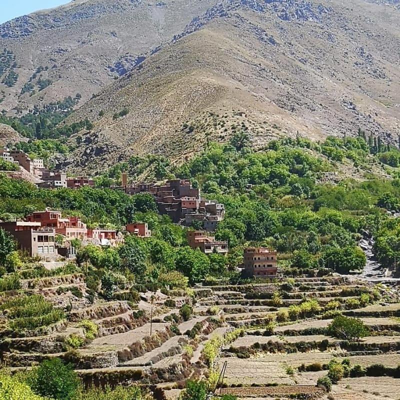 Toubkal Ecolodge امليل المظهر الخارجي الصورة