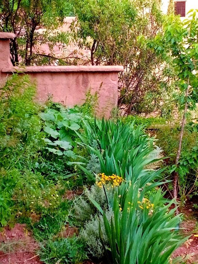 Toubkal Ecolodge امليل المظهر الخارجي الصورة