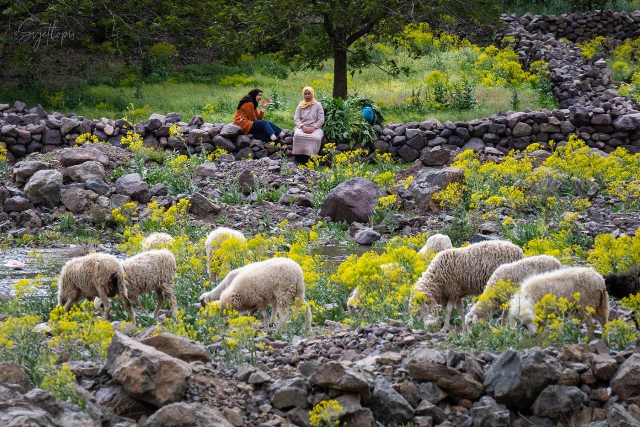 Toubkal Ecolodge امليل المظهر الخارجي الصورة